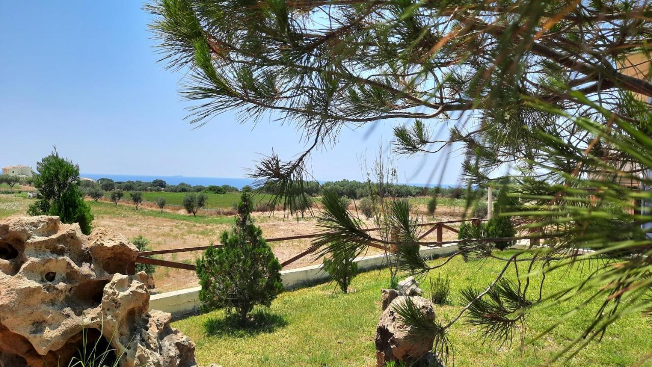Alekos Beach Houses-Angelo Lixoúri Eksteriør bilde